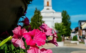 FOTO: Letničky v Poprade žiaria farbami. Námestia aj sídliska kvitnú
