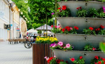 FOTO: Letničky v Poprade žiaria farbami. Námestia aj sídliska kvitnú