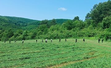 FOTO: Pátranie po Mariánovi Sabolovi z okresu Humenné