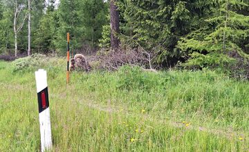FOTO: Na chodníku pri hlavnej ceste v Tatrách sa pohybovala medvedica s mláďaťom