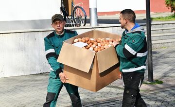 FOTO: Vyfúkli tisíce vajíčok, mesto im za to zasadilo stromy, sadili ich žiaci
