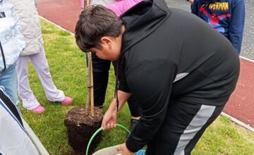 FOTO: Vyfúkli tisíce vajíčok, mesto im za to zasadilo stromy, sadili ich žiaci