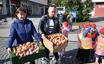 FOTO: Vyfúkli tisíce vajíčok, mesto im za to zasadilo stromy, sadili ich žiaci