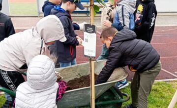 FOTO: Vyfúkli tisíce vajíčok, mesto im za to zasadilo stromy, sadili ich žiaci