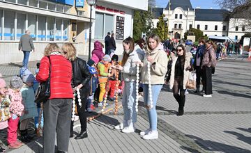FOTO: Vyfúkli tisíce vajíčok, mesto im za to zasadilo stromy, sadili ich žiaci