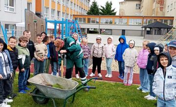 FOTO: Vyfúkli tisíce vajíčok, mesto im za to zasadilo stromy, sadili ich žiaci