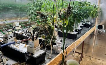 FOTO: Marihuanové laboratórium v Poprade, dvaja zadržaní, hrozí im 15 rokov