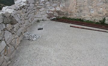 FOTO: Prihlásené projekty z Trnavského kraja v Proměnách 2025