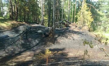 FOTO: Vo Svite došlo k požiaru lesa, na mieste zasahovalo takmer 30 hasičov