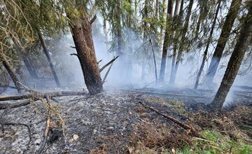  FOTO: Požiar starého lesa pod Kimberkom. Hasiči bojujú s ohňom aj vetrom