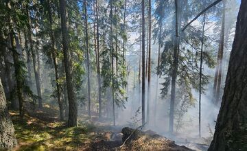  FOTO: Požiar starého lesa pod Kimberkom. Hasiči bojujú s ohňom aj vetrom