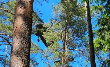 FOTO: Požiar starého lesa pod Kimberkom. Hasiči bojujú s ohňom aj vetrom
