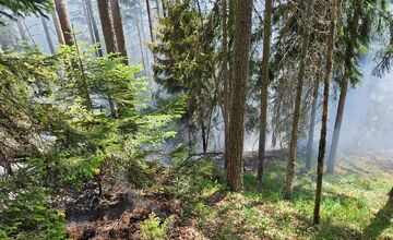  FOTO: Požiar starého lesa pod Kimberkom. Hasiči bojujú s ohňom aj vetrom