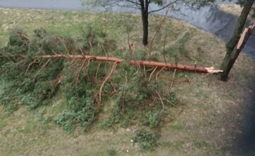 FOTO: Supercela udrela aj v Prešove. Obyvatelia hlásia popadané strechy