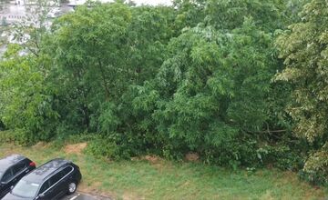 FOTO: Supercela udrela aj v Prešove. Obyvatelia hlásia popadané strechy