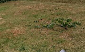 FOTO: Supercela udrela aj v Prešove. Obyvatelia hlásia popadané strechy