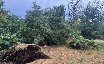 FOTO: Po pondelkovej spúšti ostávajú cintoríny v Prešove zatvorené