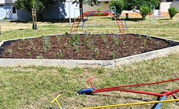 FOTO: V humenskom vnútrobloku pribudla vzácna zeleň