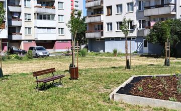 FOTO: V humenskom vnútrobloku pribudla vzácna zeleň