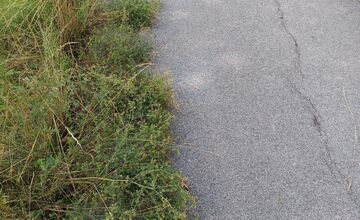 FOTO: Miestni kritizujú stav parku na Sekčove – odpadky a zarastené chodníky