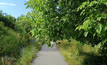 FOTO: Miestni kritizujú stav parku na Sekčove – odpadky a zarastené chodníky