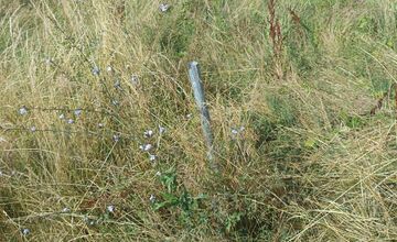 FOTO: Miestni kritizujú stav parku na Sekčove – odpadky a zarastené chodníky