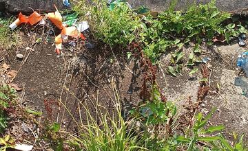 FOTO: Miestni kritizujú stav parku na Sekčove – odpadky a zarastené chodníky