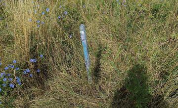 FOTO: Miestni kritizujú stav parku na Sekčove – odpadky a zarastené chodníky