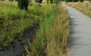 FOTO: Miestni kritizujú stav parku na Sekčove – odpadky a zarastené chodníky