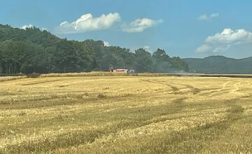 FOTO: V Prešovskom okrese vypukol požiar poľa, hasiči bojujú s plameňmi