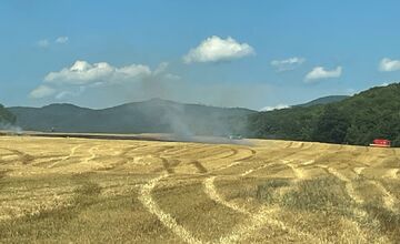 FOTO: V Prešovskom okrese vypukol požiar poľa, hasiči bojujú s plameňmi