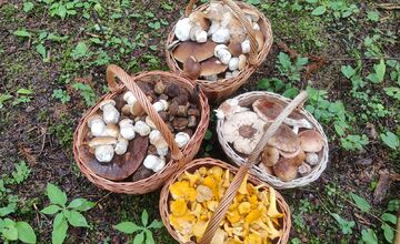 FOTO: Hubári na východnom Slovensku sa tešia z úlovkov