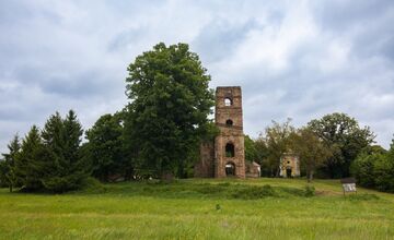 FOTO: Lipa z Krásneho Brodu v ankete Strom roka