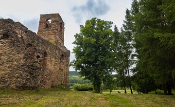 FOTO: Lipa z Krásneho Brodu v ankete Strom roka