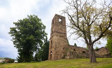 FOTO: Lipa z Krásneho Brodu v ankete Strom roka