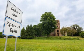 FOTO: Lipa z Krásneho Brodu v ankete Strom roka