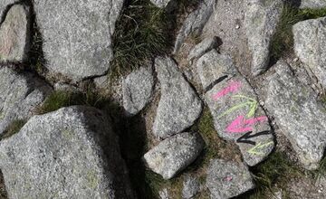 FOTO: Pracovníkov TANAP-u prekvapil počas kontroly v Tatrách nečakaný pohľad