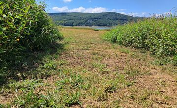 FOTO: Zábery Domaše odhaľujú vyprahnuté miesta