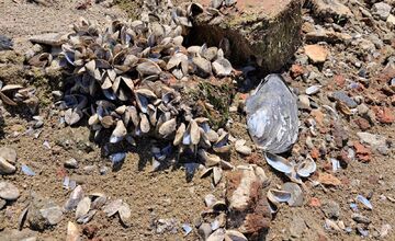 FOTO: Zábery Domaše odhaľujú vyprahnuté miesta
