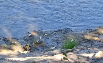FOTO: Apokalyptický pohľad na Torysu