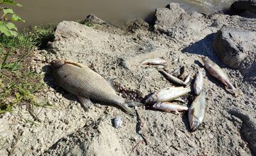 FOTO: Apokalyptický pohľad na Torysu