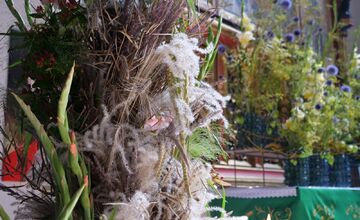 FOTO: Bazilika v Kežmarku sa zaplnila nádhernými kvetmi