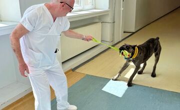 FOTO: Pacientom v kežmarskej nemocnici pomáha pri terapii pes Goro
