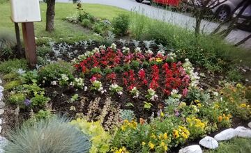 FOTO: Mária sa o predzáhradku na Sekčove stará viac ako 10 rokov