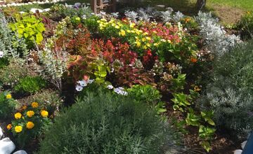 FOTO: Mária sa o predzáhradku na Sekčove stará viac ako 10 rokov