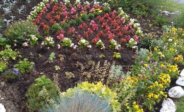 FOTO: Mária sa o predzáhradku na Sekčove stará viac ako 10 rokov