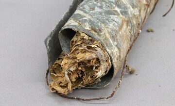 FOTO: Na gymnáziu v Levoči otvorili časovú schránku. Našli v nej takýto odkaz