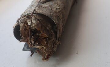 FOTO: Na gymnáziu v Levoči otvorili časovú schránku. Našli v nej takýto odkaz