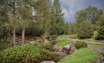 FOTO: Botanická záhrada uzavrela sezónu, návštevníci si odniesli aj rastliny