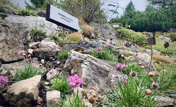 FOTO: Botanická záhrada uzavrela sezónu, návštevníci si odniesli aj rastliny